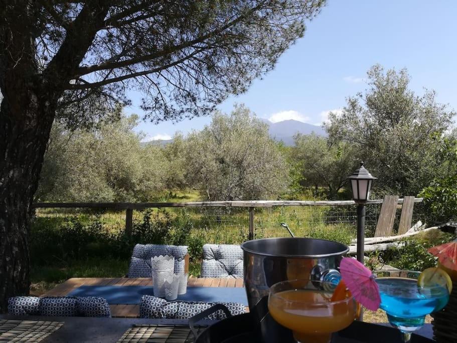 Villa Segreta, Mount Etna Belpasso Extérieur photo